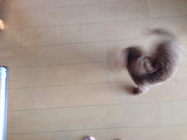 f:id:lalala11:20130923231920j:plain f:id:lalala11:20130923231920j:plain