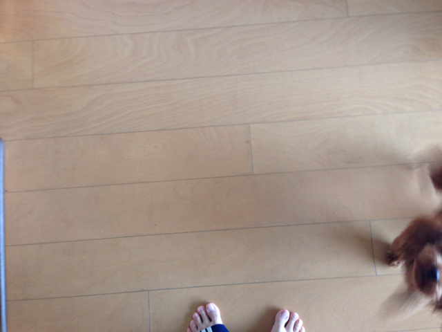 f:id:lalala11:20130923231937j:plain f:id:lalala11:20130923231937j:plain