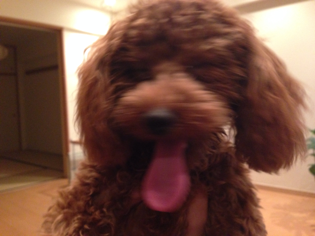 f:id:lalala11:20130926000930j:plain f:id:lalala11:20130926000930j:plain