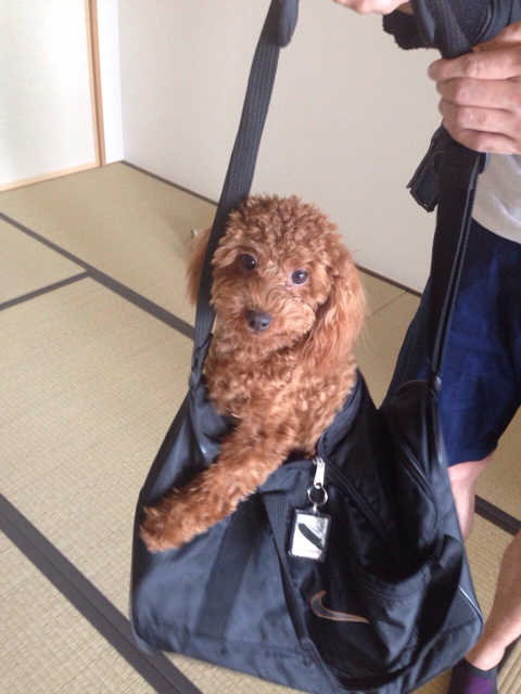 f:id:lalala11:20130930223800j:plain f:id:lalala11:20130930223800j:plain
