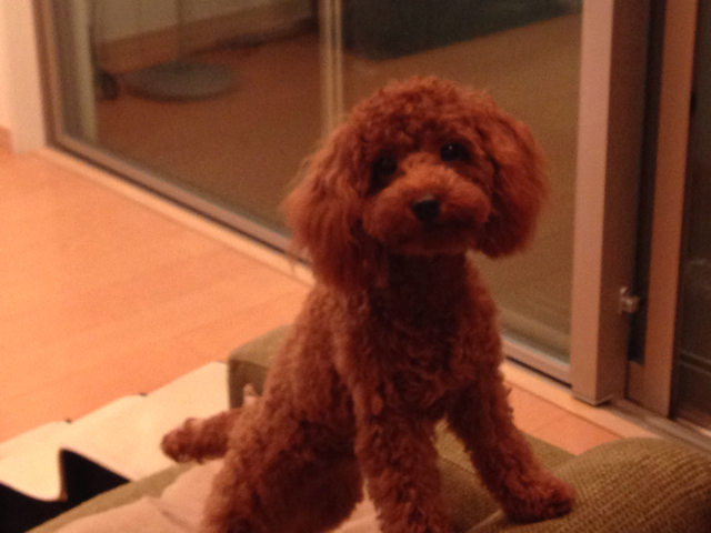 f:id:lalala11:20131003225326j:plain f:id:lalala11:20131003225326j:plain