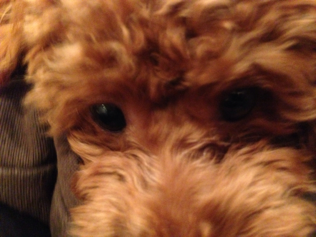 f:id:lalala11:20131003225914j:plain f:id:lalala11:20131003225914j:plain