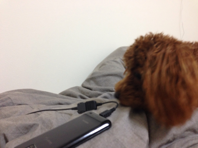 f:id:lalala11:20131008201021j:plain f:id:lalala11:20131008201021j:plain