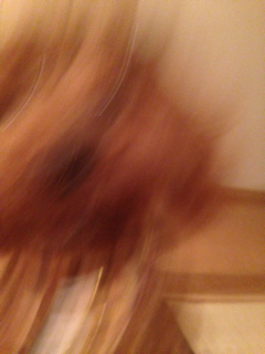 f:id:lalala11:20131026194426j:plain f:id:lalala11:20131026194426j:plain