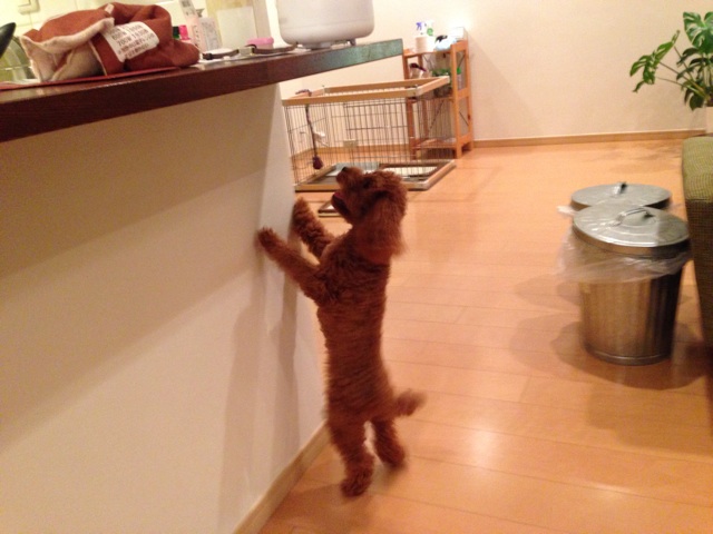 f:id:lalala11:20131101234247j:plain f:id:lalala11:20131101234247j:plain