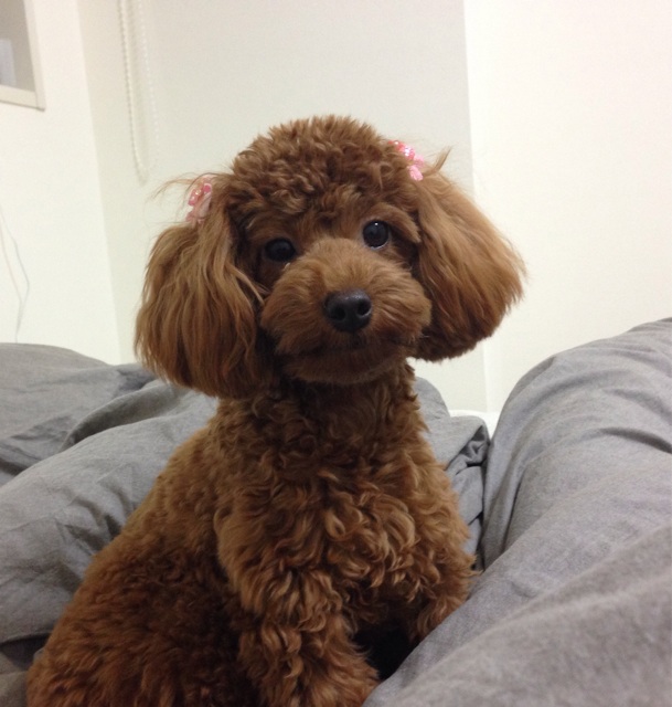 f:id:lalala11:20131114230653j:plain f:id:lalala11:20131114230653j:plain