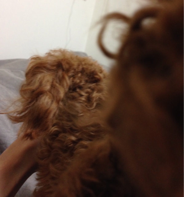 f:id:lalala11:20131202090358j:plain f:id:lalala11:20131202090358j:plain