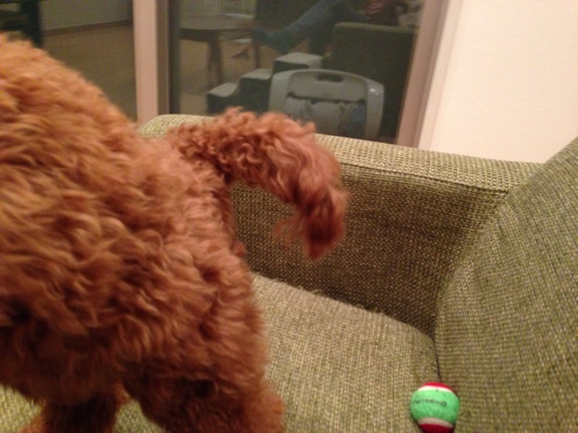f:id:lalala11:20131203230000j:plain f:id:lalala11:20131203230000j:plain