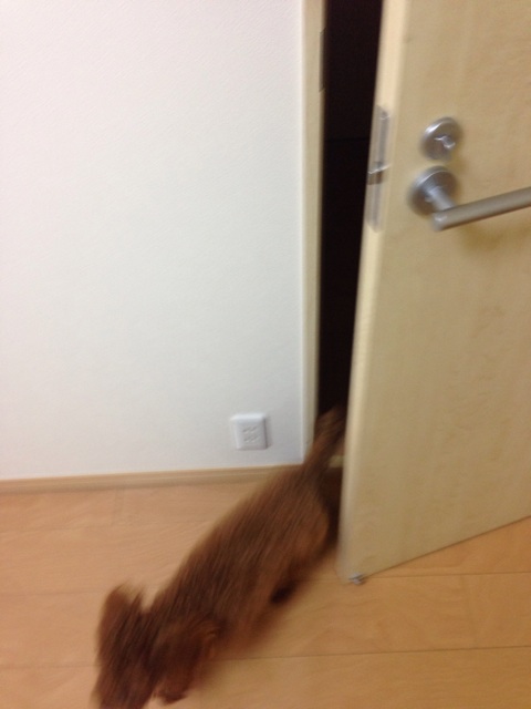 f:id:lalala11:20131204210051j:plain f:id:lalala11:20131204210051j:plain