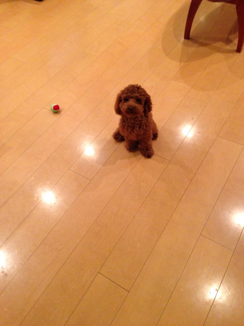 f:id:lalala11:20131210231018j:plain f:id:lalala11:20131210231018j:plain