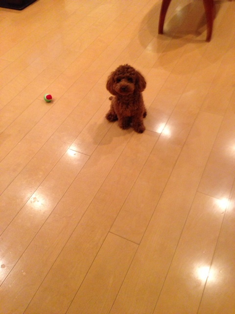 f:id:lalala11:20131210231134j:plain f:id:lalala11:20131210231134j:plain