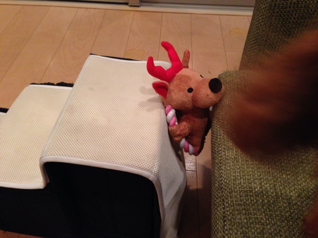 f:id:lalala11:20131213091047j:plain f:id:lalala11:20131213091047j:plain