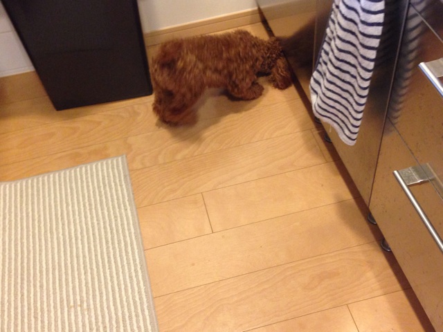 f:id:lalala11:20131219232457j:plain f:id:lalala11:20131219232457j:plain