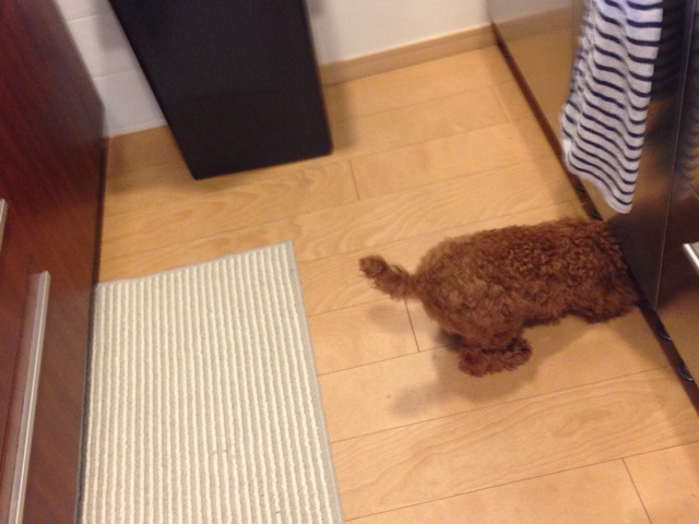 f:id:lalala11:20131219232601j:plain f:id:lalala11:20131219232601j:plain
