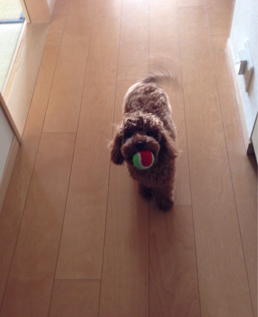 f:id:lalala11:20131219232951j:plain f:id:lalala11:20131219232951j:plain