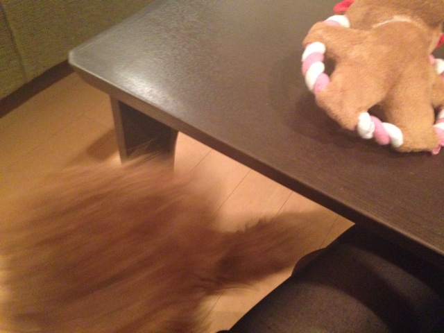 f:id:lalala11:20131231184202j:plain f:id:lalala11:20131231184202j:plain