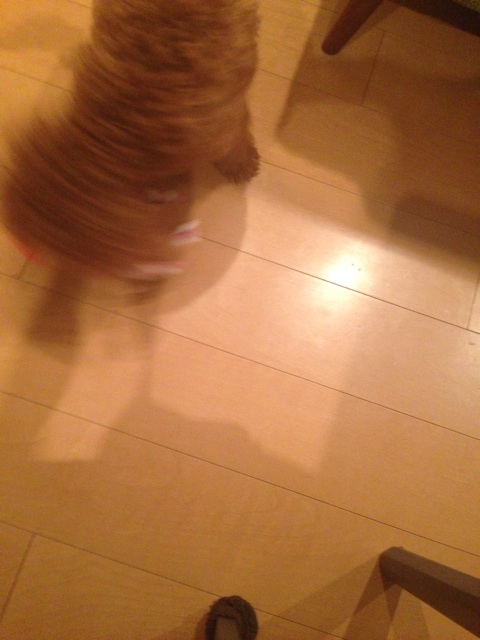 f:id:lalala11:20131231184354j:plain f:id:lalala11:20131231184354j:plain