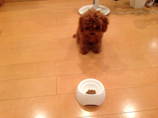 f:id:lalala11:20131231202048j:plain f:id:lalala11:20131231202048j:plain