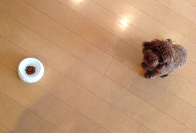 f:id:lalala11:20140301172625j:plain f:id:lalala11:20140301172625j:plain