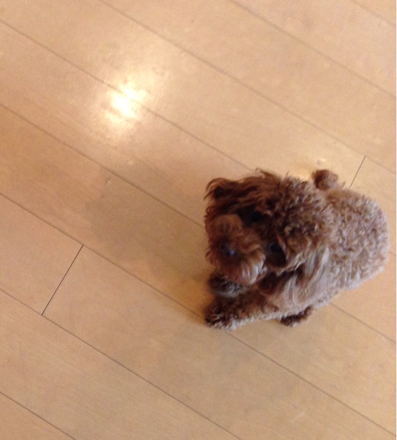 f:id:lalala11:20140301172648j:plain f:id:lalala11:20140301172648j:plain