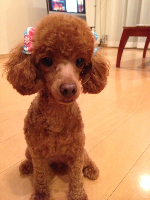 f:id:lalala11:20140719214948j:plain f:id:lalala11:20140719214948j:plain