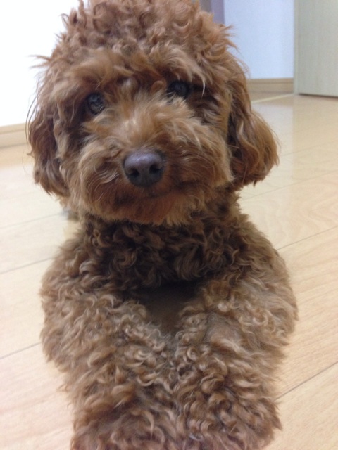 f:id:lalala11:20140719215412j:plain f:id:lalala11:20140719215412j:plain