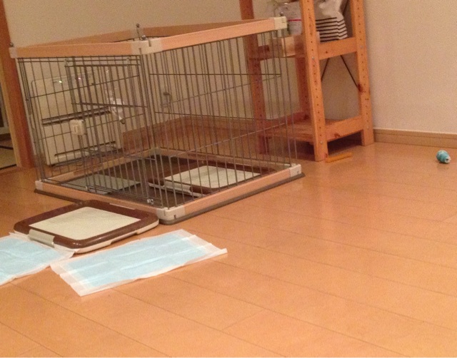 f:id:lalala11:20140726225435j:plain f:id:lalala11:20140726225435j:plain