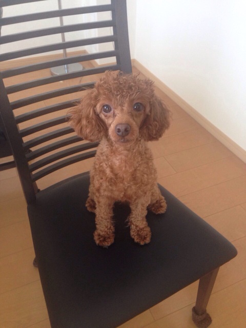 f:id:lalala11:20140803233628j:plain f:id:lalala11:20140803233628j:plain