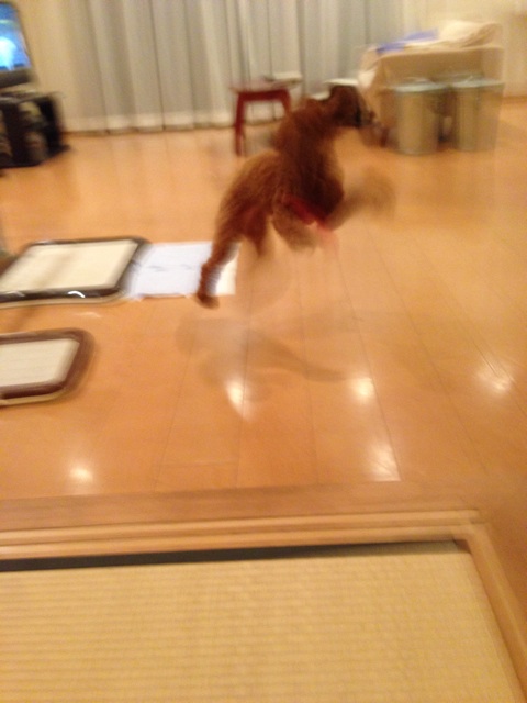 f:id:lalala11:20140907210709j:plain f:id:lalala11:20140907210709j:plain