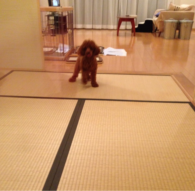 f:id:lalala11:20140908215347j:plain f:id:lalala11:20140908215347j:plain
