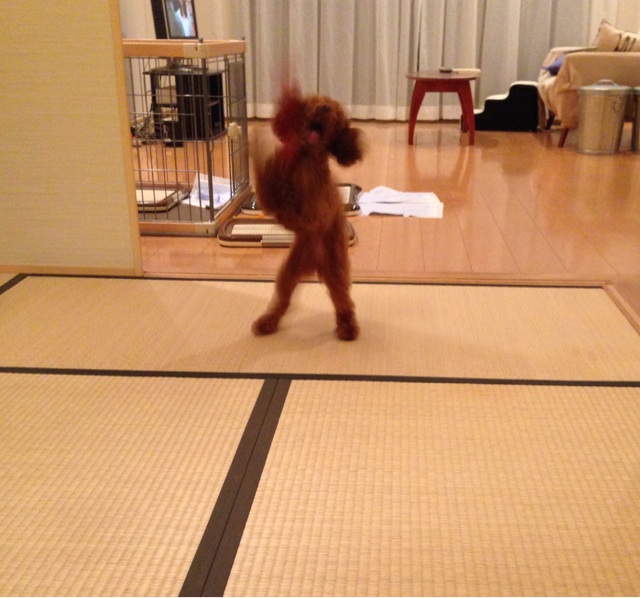 f:id:lalala11:20140908215420j:plain f:id:lalala11:20140908215420j:plain