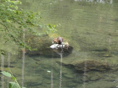 f:id:lamanotrama:20080822165559j:image f:id:lamanotrama:20080822165559j:image