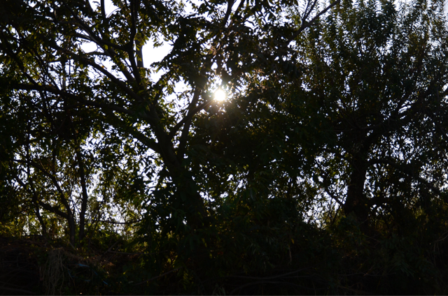 f:id:lamialure:20130923000545j:plain f:id:lamialure:20130923000545j:plain