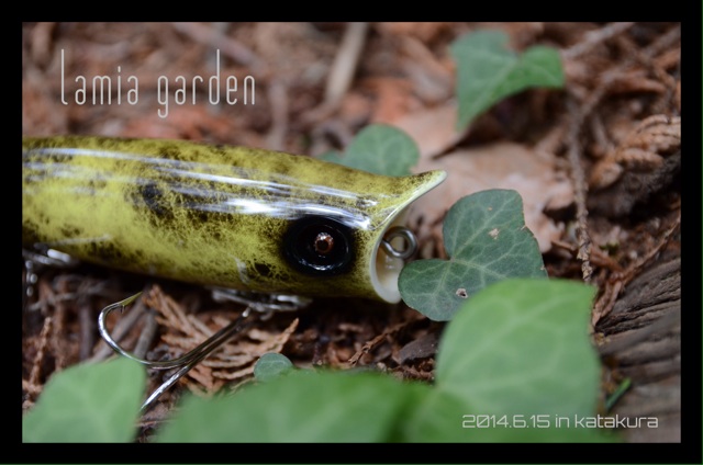 f:id:lamialure:20140610220139j:plain f:id:lamialure:20140610220139j:plain