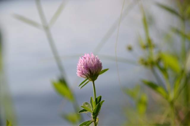 f:id:lamialure:20140728170847j:plain f:id:lamialure:20140728170847j:plain