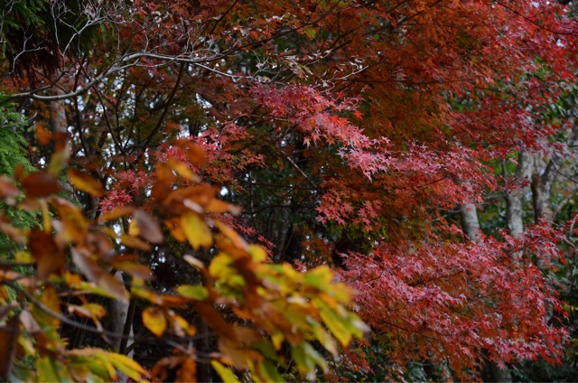 f:id:lamialure:20141130185435j:plain f:id:lamialure:20141130185435j:plain