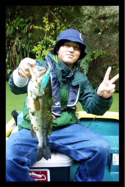 f:id:lamialure:20141201070214j:plain f:id:lamialure:20141201070214j:plain