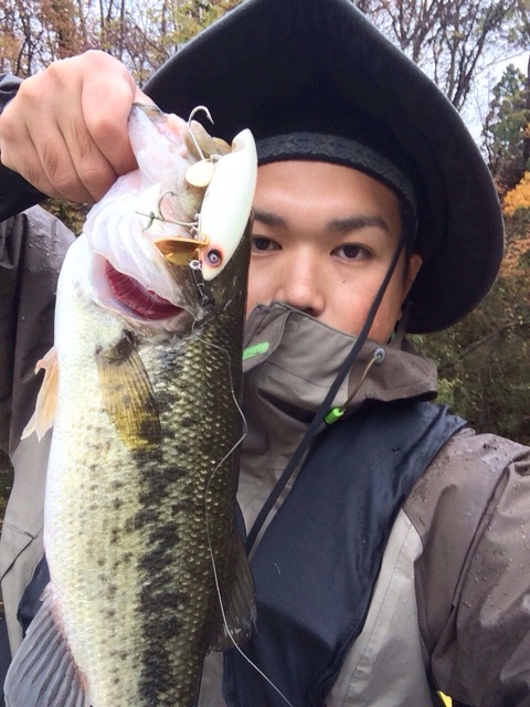 f:id:lamialure:20141201110514j:plain f:id:lamialure:20141201110514j:plain