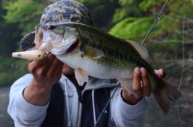 f:id:lamialure:20150427093720j:image f:id:lamialure:20150427093720j:image