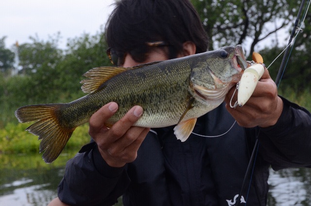 f:id:lamialure:20150601070839j:image f:id:lamialure:20150601070839j:image