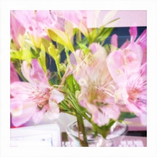 f:id:last-kiss:20120323214501j:plain f:id:last-kiss:20120323214501j:plain