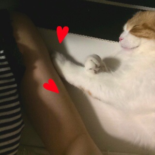 f:id:lazing-around:20140521004331j:plain f:id:lazing-around:20140521004331j:plain