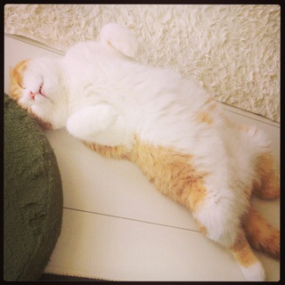 f:id:lazing-around:20140803084431j:plain f:id:lazing-around:20140803084431j:plain