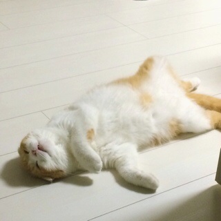 f:id:lazing-around:20140803084442j:plain f:id:lazing-around:20140803084442j:plain