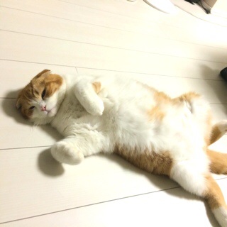 f:id:lazing-around:20140915124644j:plain f:id:lazing-around:20140915124644j:plain