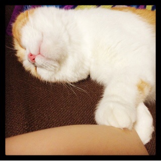 f:id:lazing-around:20141009204954j:plain f:id:lazing-around:20141009204954j:plain