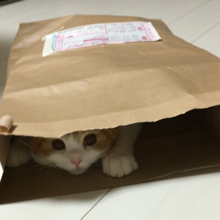 f:id:lazing-around:20141016195629j:plain f:id:lazing-around:20141016195629j:plain