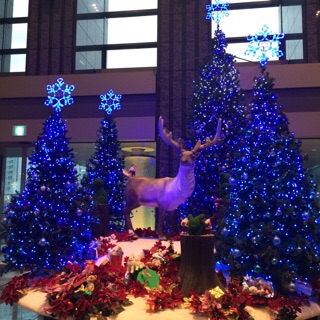 f:id:lazing-around:20141211213226j:plain f:id:lazing-around:20141211213226j:plain