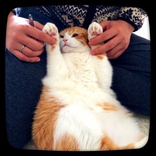 f:id:lazing-around:20150101181641j:plain f:id:lazing-around:20150101181641j:plain