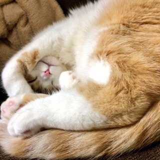 f:id:lazing-around:20150206204813j:plain f:id:lazing-around:20150206204813j:plain